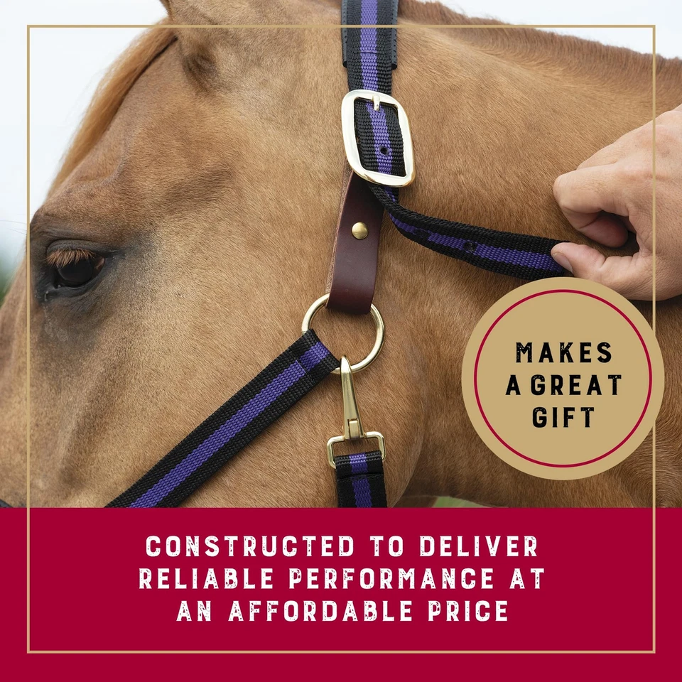 Halter Weaver Equine Breakaway para caballos cómodo elegante colores duraderos Foto 4 de 4