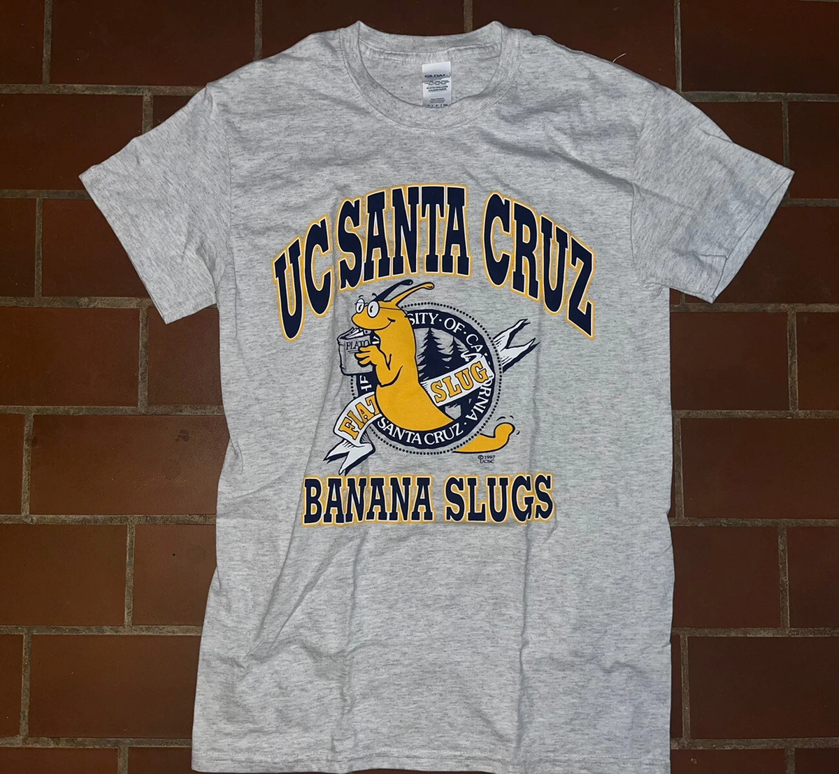 UC SANTA CRUZ Tシャツ 90s - www.metrowestcog.org