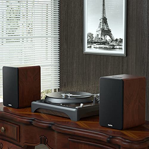 Altavoces de estantería Bluetooth para reproductor de discos, monitor de estudio alimentado DS6801S - Imagen 7 de 7