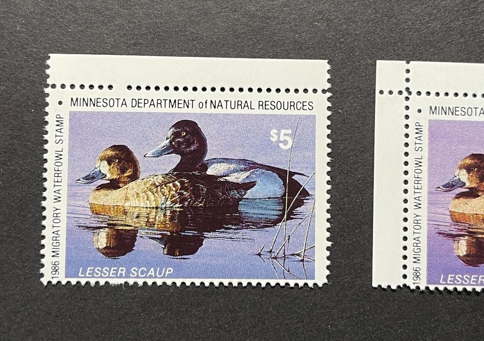 1986 MINNESOTA - State Duck Stamp - Lot1 - MNH **COLOR VARIETY ERROR** - Image 2 of 4