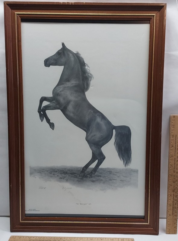 "BAY LADY" - RITA TATE - 83/200 signed - framed - HORSE - damaged / as is