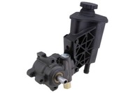 NTY Hydraulikpumpe FüR Servolenkung Dodge Ram 1500 3.7/4.7/5.7/5.9 02-07