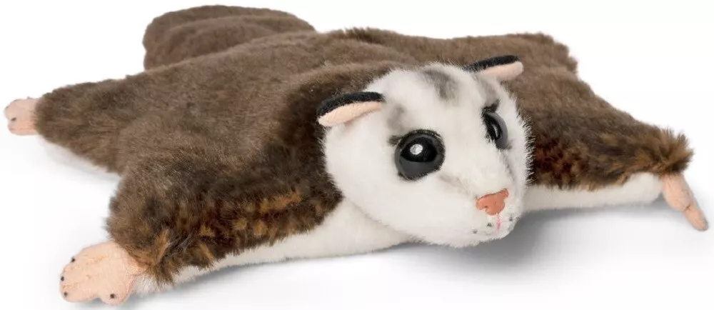 Ebay sugar sale glider