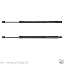 OEM NEW 15-17 Ford Edge Manual Liftgate Hatch Trunk Support Struts PAIR LH + RH