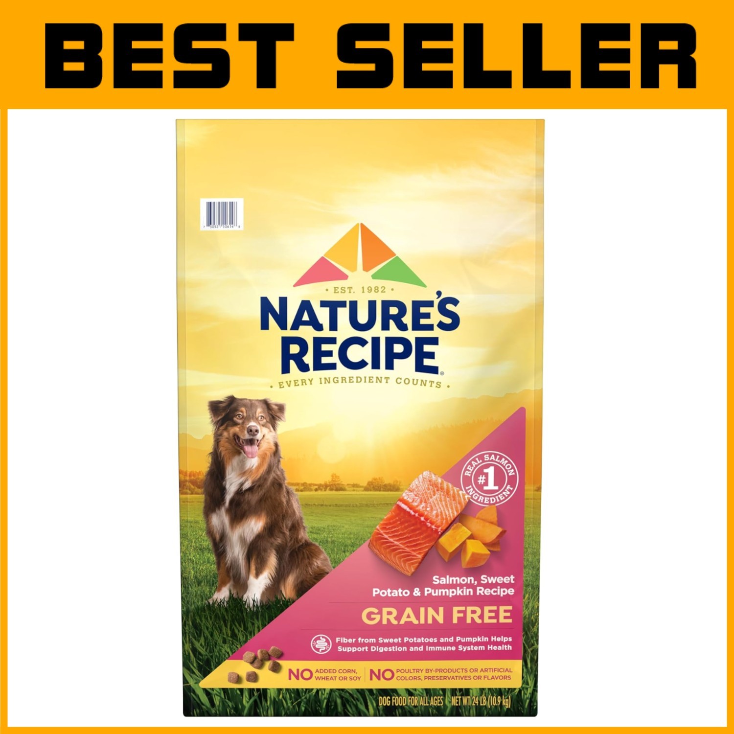 Wholesome Salmon & Sweet Potato Dog Food