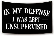 In My Defense I Was Left Unsupervised Flag Funny Flags for Room 3X5 Feet College