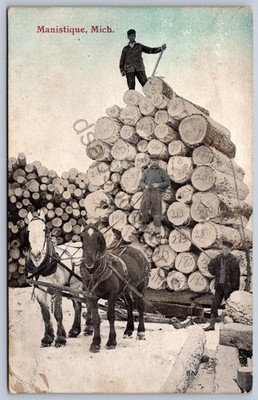 K56/ Manistique Michigan Postcard c1910 Lumberjack Horse Sled Logs 199