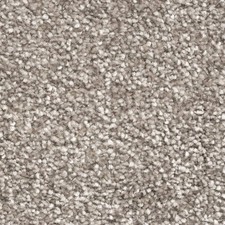 Brooklyn Elite Domestic Carpet- Mushroom-13mm pile height- Free Delivery-samples