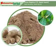Capsule Of  Pure Septic Fig Leaves Ficus Septica Organic Natural Herbal Herbs