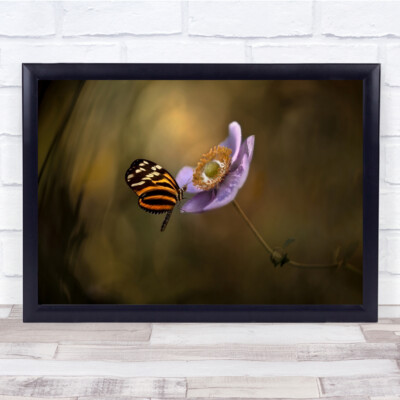 Heliconia Schmetterling Anemone konzeptionelles Bokeh Garten Leuchter Makro Wandkunstdruck