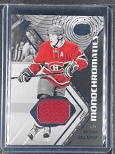 Gallagher, Brendan - 2015-16 SPx - Monochromatics - Swatch