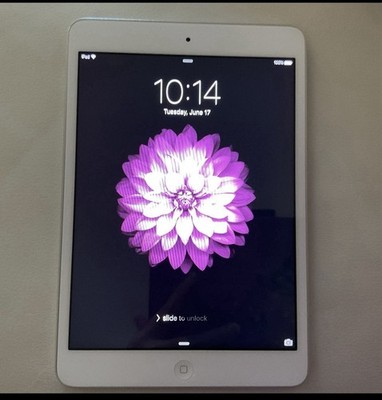 Apple iPad Mini 1st Generation 16GB, Wi-Fi