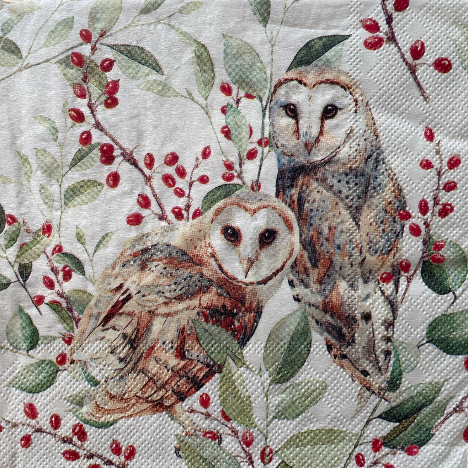4 Luncheon paper napkins Barn Owl Couple Birds for decoupage