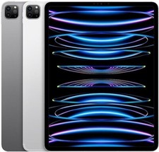 Apple iPad Pro 11" 4th Gen 256GB WiFi   Gray/Silver   Very Good   1 Yr Warranty