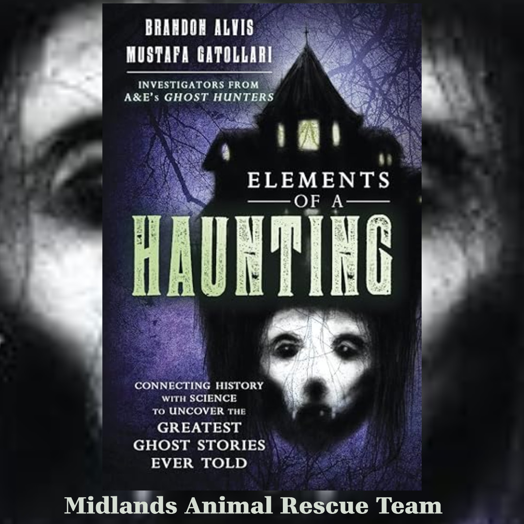 Elements of a Haunting by B Alvis & M Gatollari - Sale For Our Animal Charity