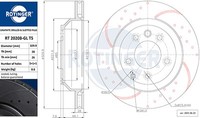 Rotinger 2X Bremsscheibe Hinten Ø330 Mm Gelocht BelüFtet FüR VW Touareg 7P5 3.0