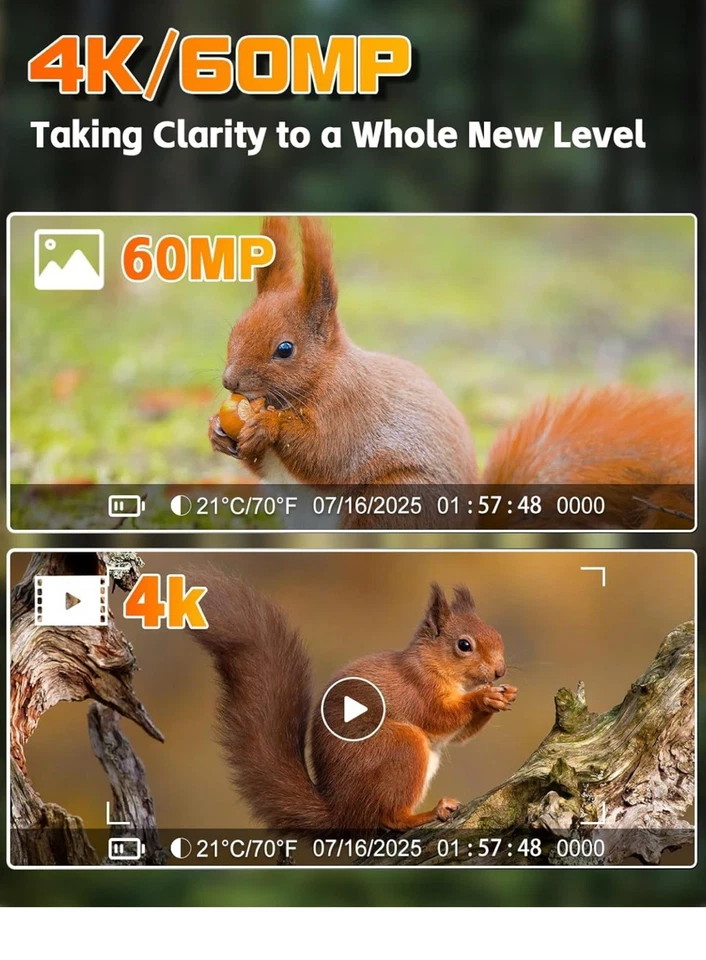 Fototrappola 4K 60MP, - Immagine 2 di 4