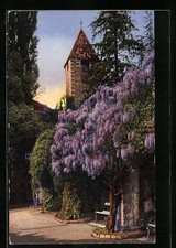Meran, Kirche mit Blauregen, Ansichtskarte 1921 