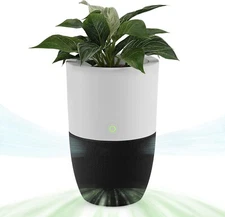 Dupray AIR030W Bloom Air Purifier w/ Planter Removes Dust Smoke Odors Allergens