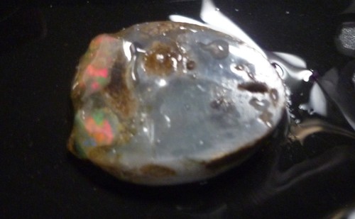 A+ Virgin Valley Precious Opal LOG SLICE Petrified Wood Nevada 20.7 carats! - Picture 2 of 8