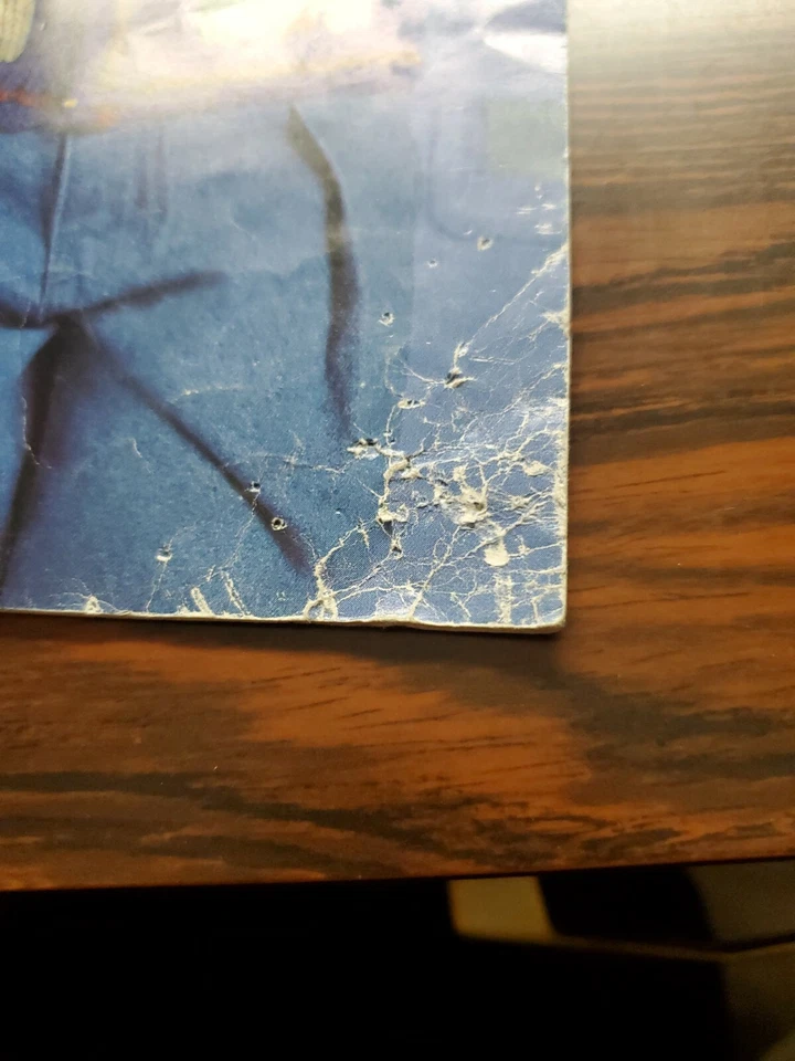 Kids Knit Novelty Cardigans by Leisure Arts 5 Designs Sizes 2-10 Pattern booklet - Image 3 of 4