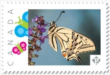 BUTTERFLY = SWALLOWTAIL ** Picture Postage stamp MNH Canada 2019 p19-02-sn16