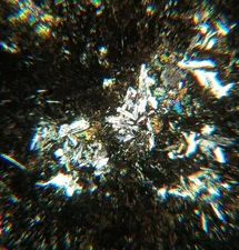 Thin-section Mount from DSDP Hole 169 Petrographic Microscope Slide 17-169-12-1