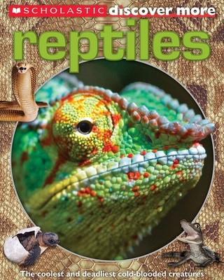 Scholastic Discover More: Reptiles