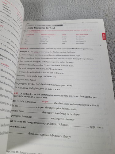 Elements of Language Grammar, Usage and Mechanics Language Skills Practice Holt - Picture 9 of 10