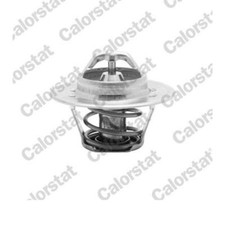 Thermostat Rover 25