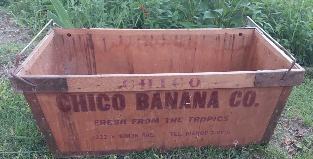 Antique Wooden Banana Box Crate Chico Banana Co | eBay