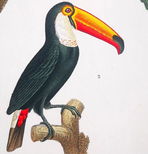 1831,PRETRE ORIGINAL ENGR. FINE ANTIQUE WATERCOLOURING XJ2