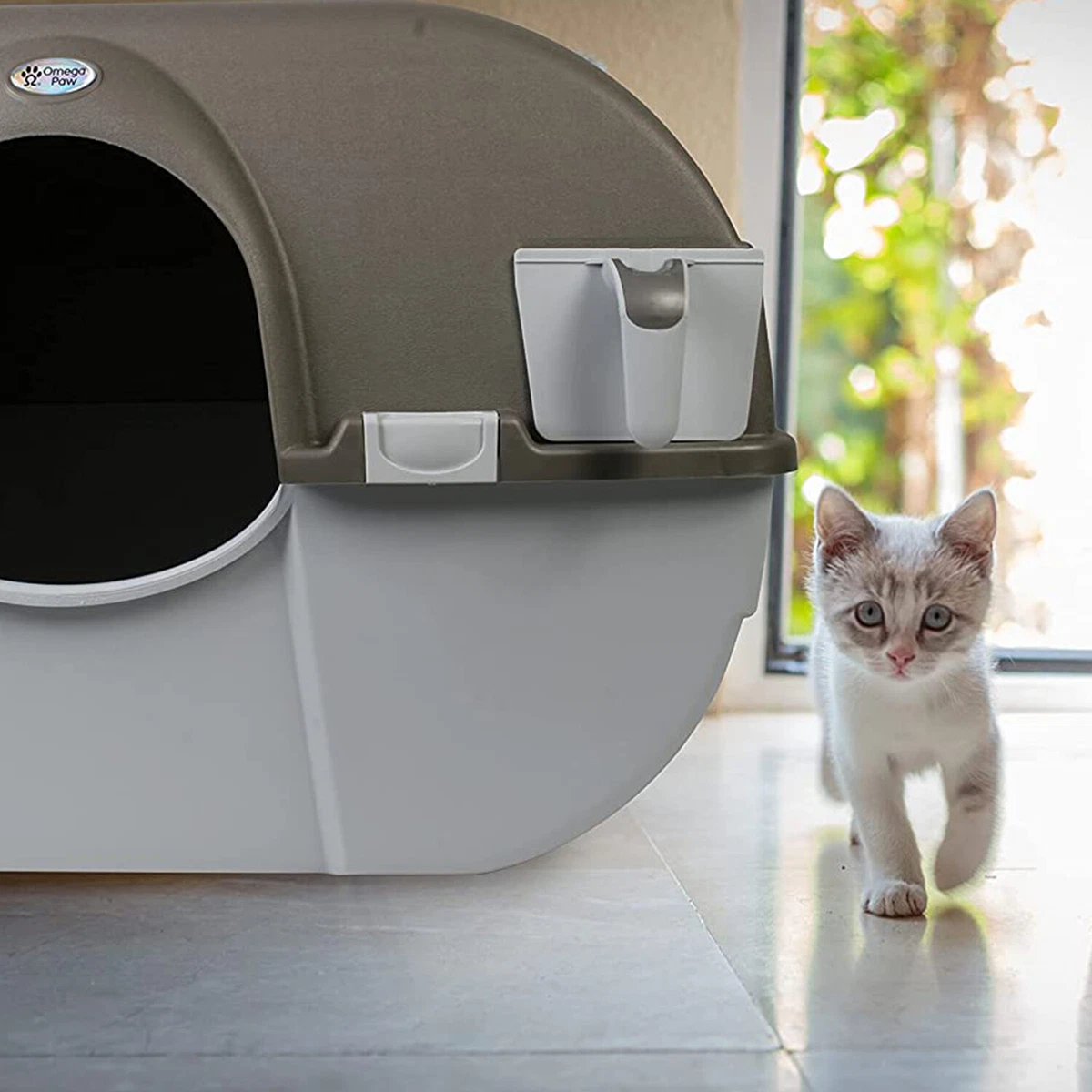 Omega paw and roll litter cheap box