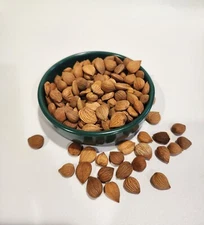 RAW BITTER APRICOT KERNELS - 1 lbs bag