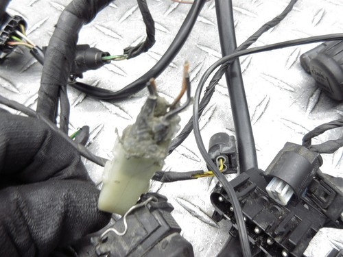 2002 98-03 BMW K1200RS Main Wiring Harness Wire - Picture 19 of 20