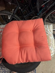 Outdoor Cushions Set of 2 