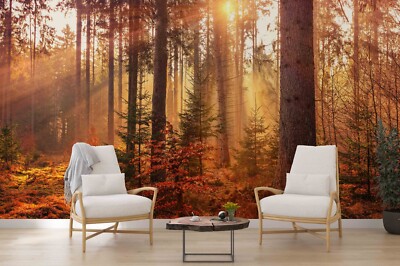 3D Fall Sunshine Forest Self-adhesive Removable Wallpaper Murals Wall 90