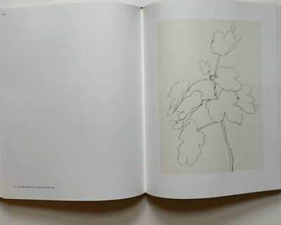 Ellsworth Kelly : Plant Drawings by Marla Prather (2011, Hardcover