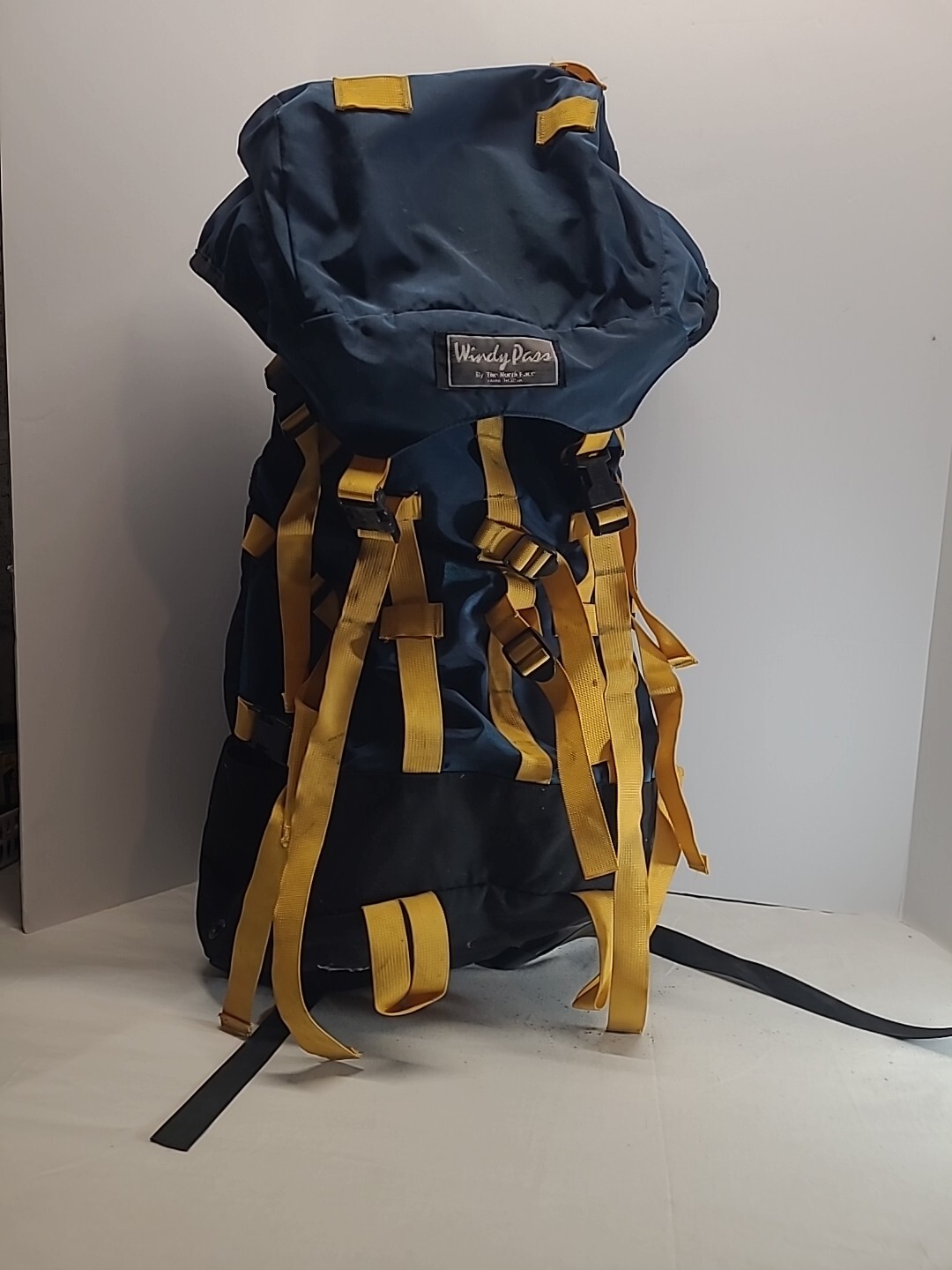 hiking backpack windy pass by the north face-image