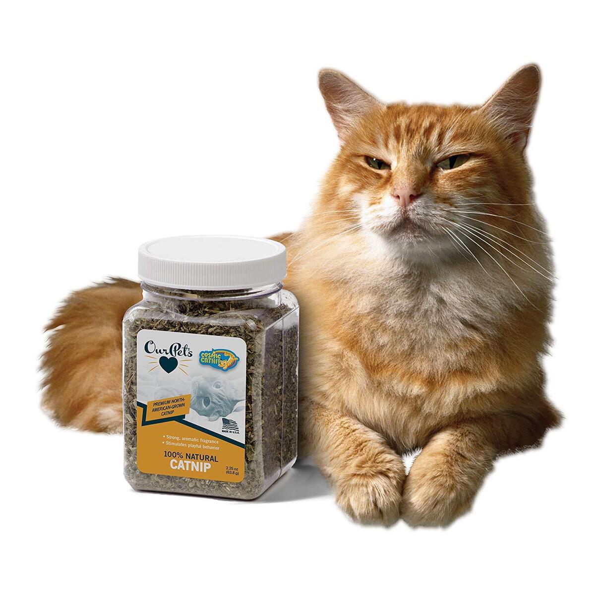 OurPets Cosmic Catnip Jar OurPets Cosmic Catnip Jar