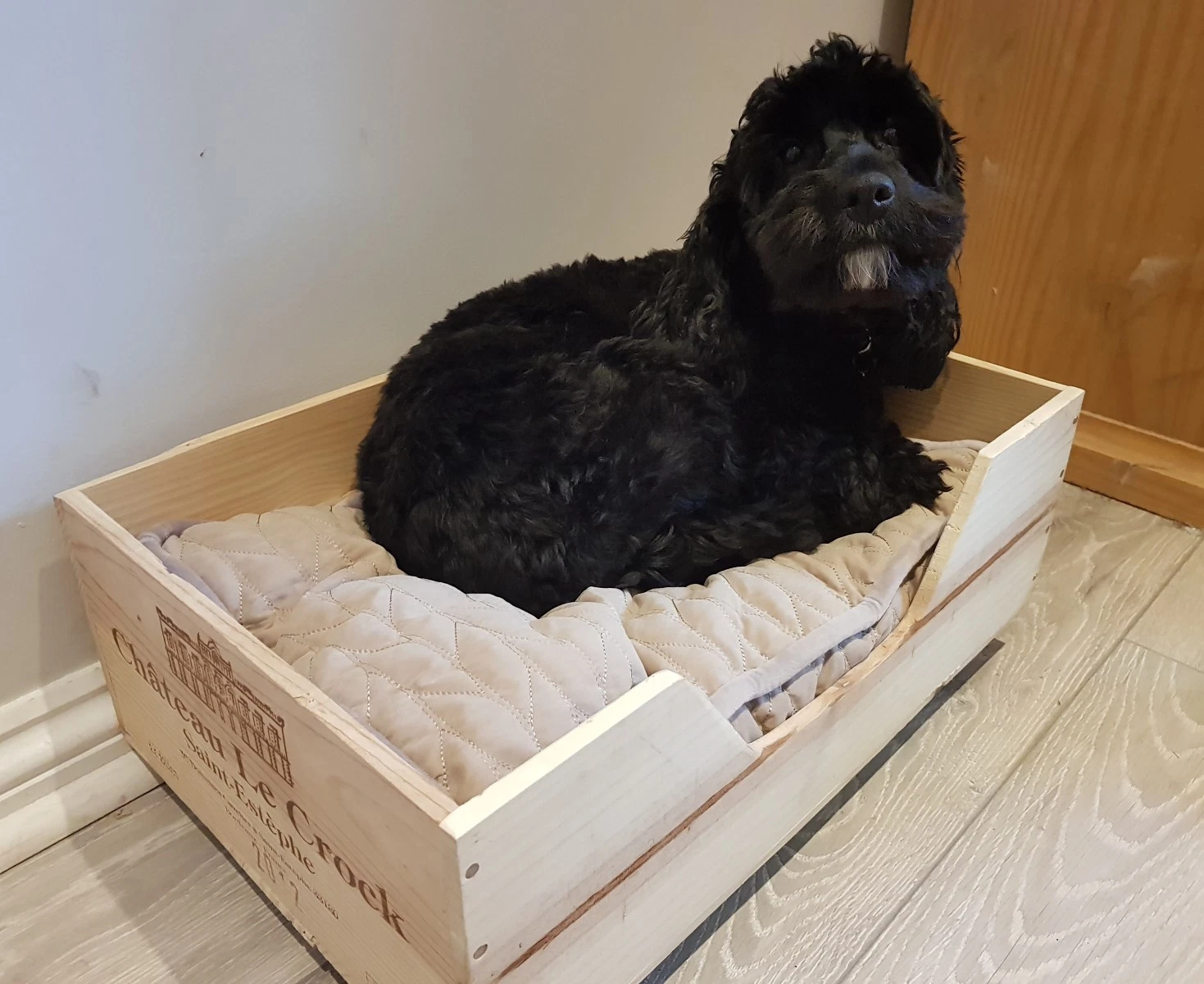 Reclaimed wooden wine box PET BED for small Cockapoo dogs & cats - WITHOUT FEET