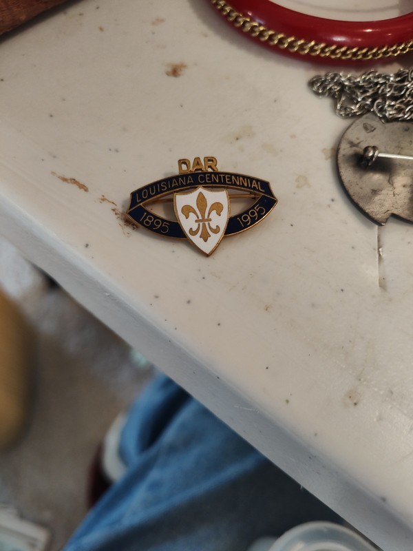 DAR, Daughters of the American Revolution,Louisiana  state pin, gold-filled