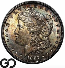  on The Hot Collector