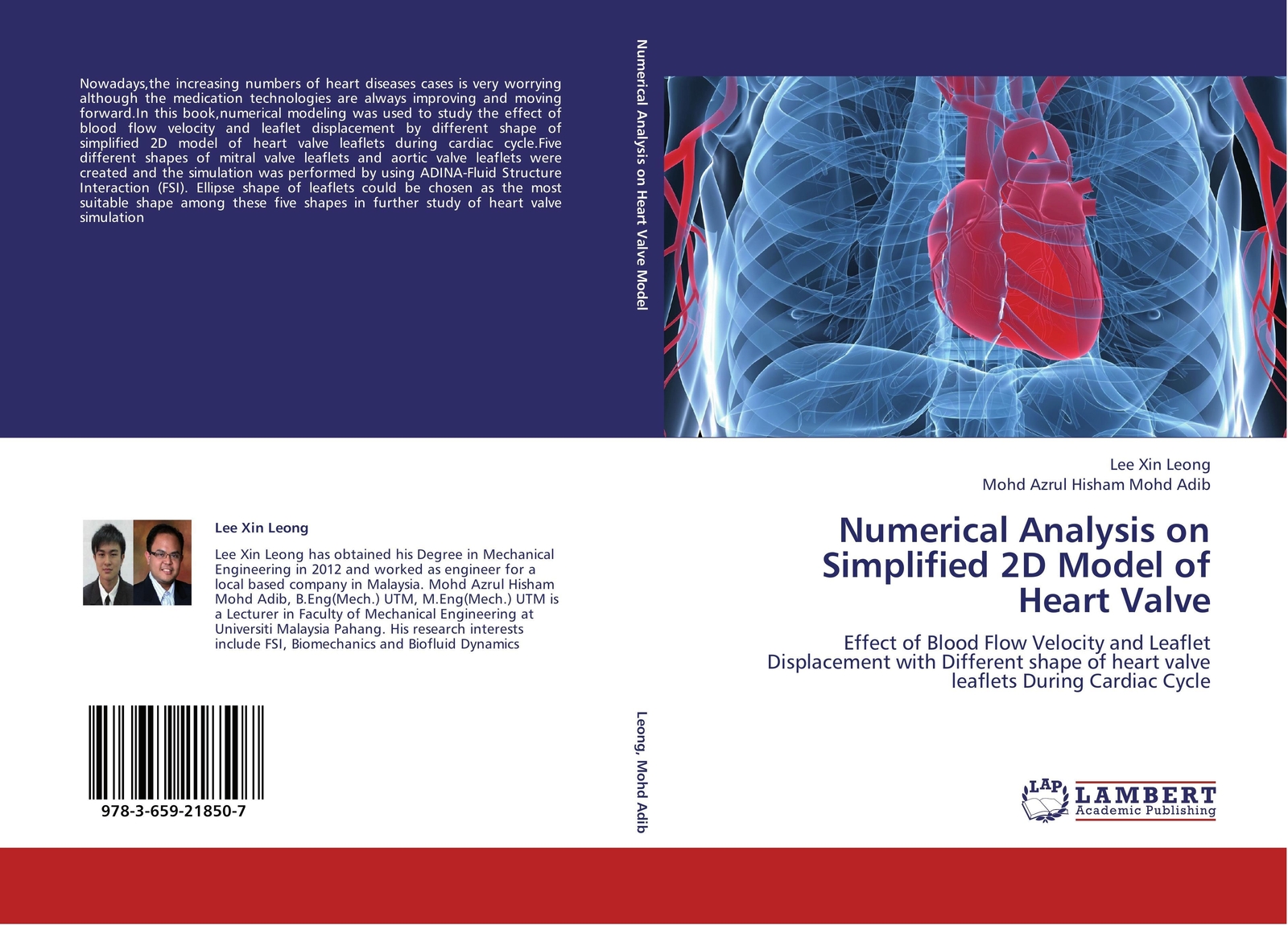 Thumbnail - Lee Xin Leong (u. A.) | Numerical Analysis On Simplified 2d Model Of