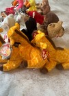 Bild 12 von 12