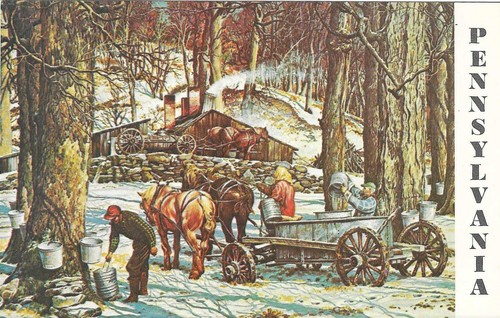 Vintage Pennsylvania Chrome Postcard Maple Syrup Is Special Earl Settlers