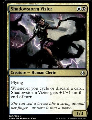 2017 Amonkhet Shadowstorm Vizier Expansion/Uncommon #206