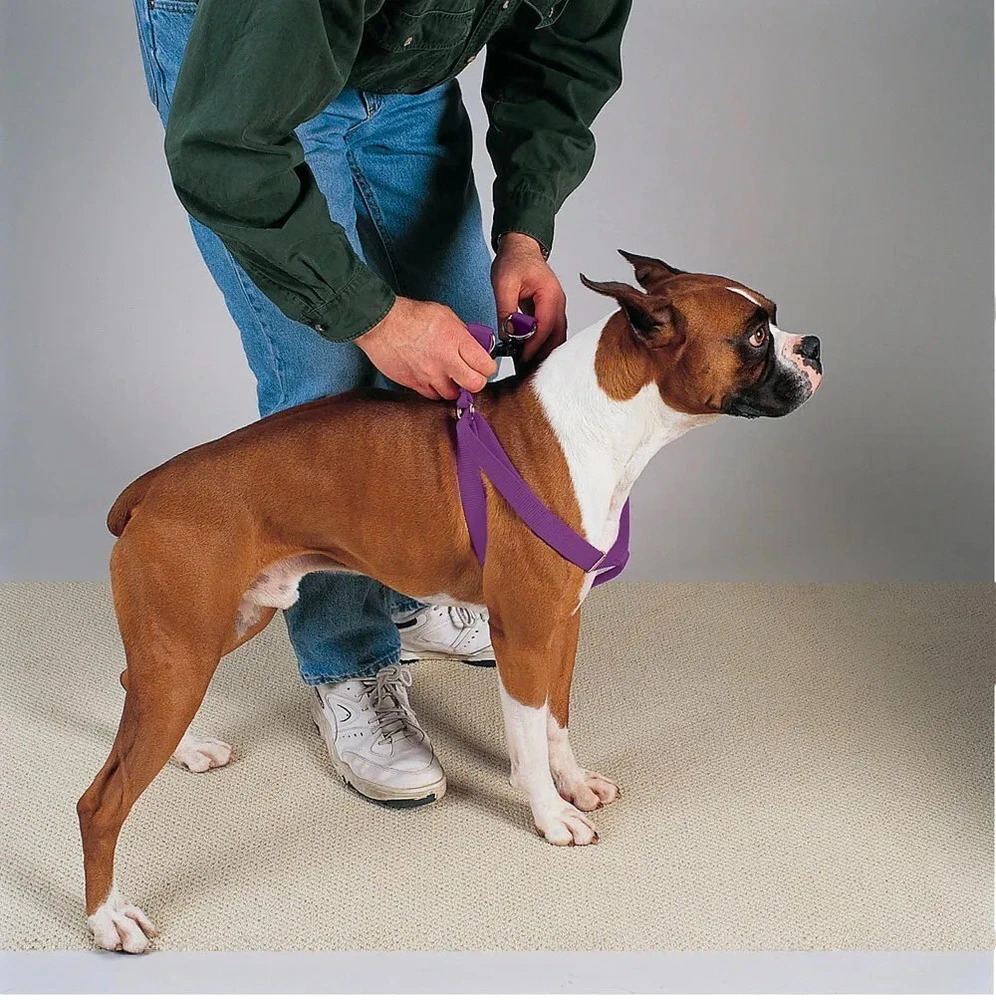 Dog Harness Easy to Use 2 Step Secure Safe Comfortable Firm No Struggle Control