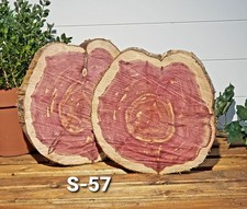 Set Of 2 RED CEDAR WOOD COOKIES 12X12x2" Live Edge, Vibrant Aroma And Rustic