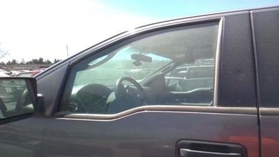 Driver Front Door Glass Crew Cab 4 Door Fits 04-08 FORD F150 PICKUP 29858593
